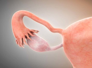 Фото: Синдром истощения яичников - как проявляется и как лечится